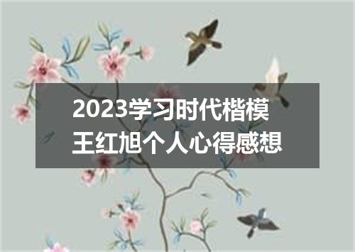2023学习时代楷模王红旭个人心得感想