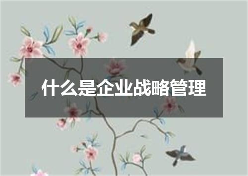 什么是企业战略管理
