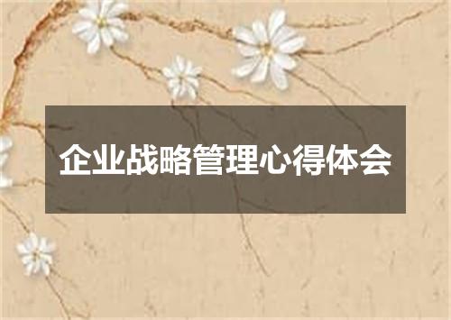 企业战略管理心得体会
