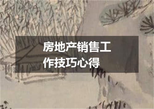 房地产销售工作技巧心得
