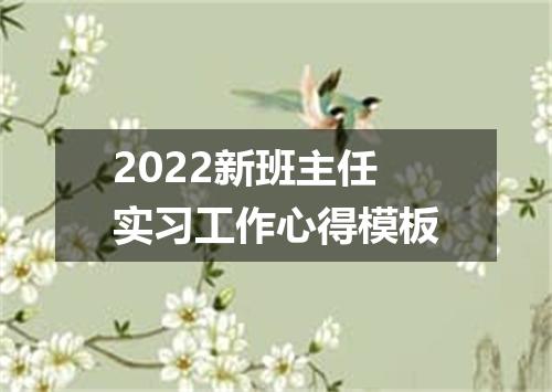 2022新班主任实习工作心得模板