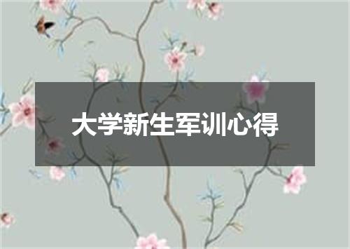 大学新生军训心得