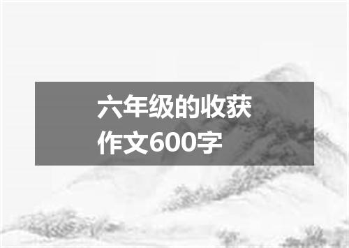 六年级的收获作文600字