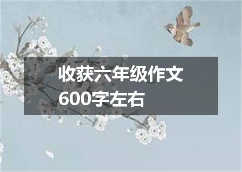 收获六年级作文600字左右