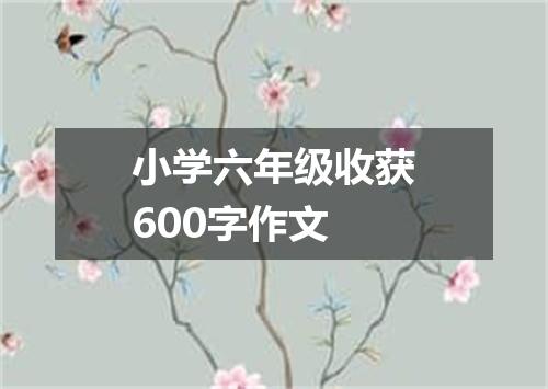 小学六年级收获600字作文