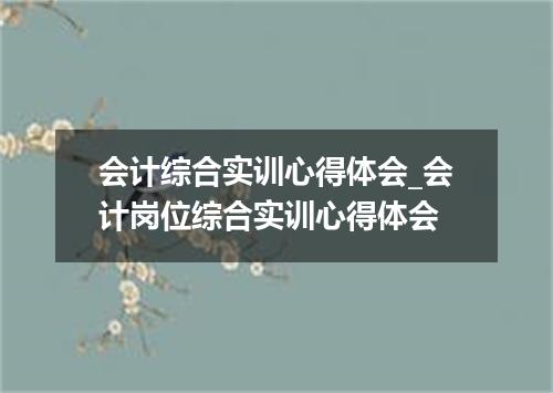 会计综合实训心得体会_会计岗位综合实训心得体会