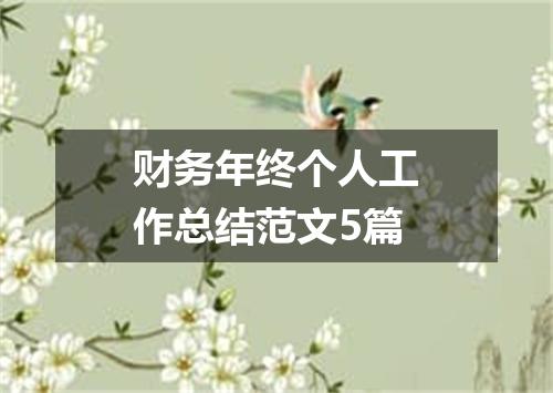 财务年终个人工作总结范文5篇