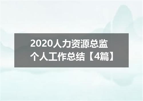 2020人力资源总监个人工作总结【4篇】