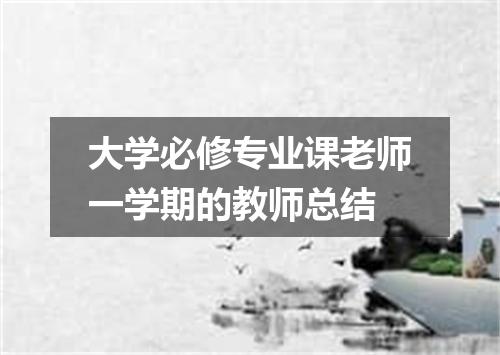 大学必修专业课老师一学期的教师总结