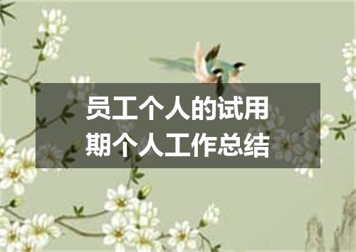 员工个人的试用期个人工作总结