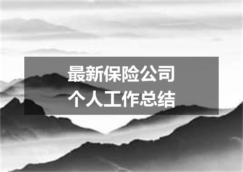 最新保险公司个人工作总结