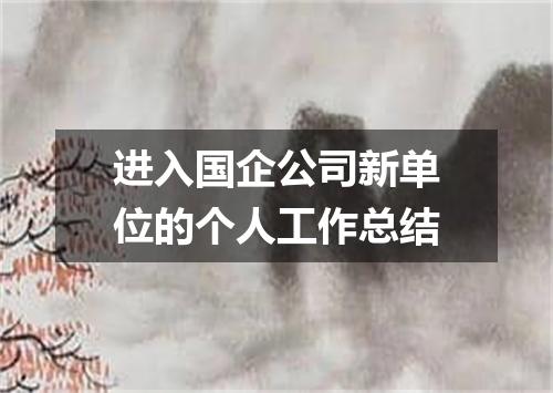 进入国企公司新单位的个人工作总结