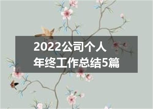 2022公司个人年终工作总结5篇
