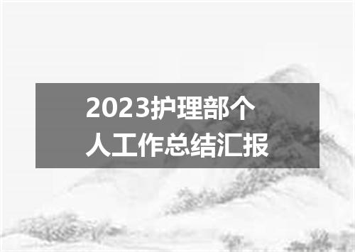 2023护理部个人工作总结汇报