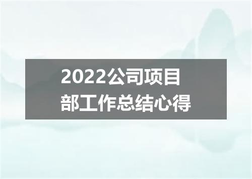 2022公司项目部工作总结心得