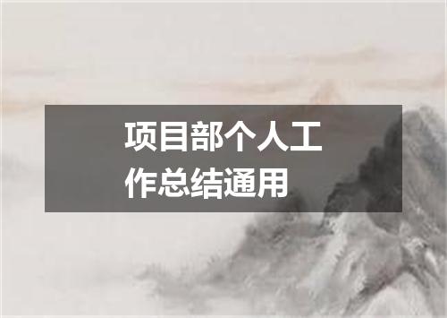 项目部个人工作总结通用