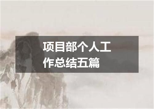 项目部个人工作总结五篇