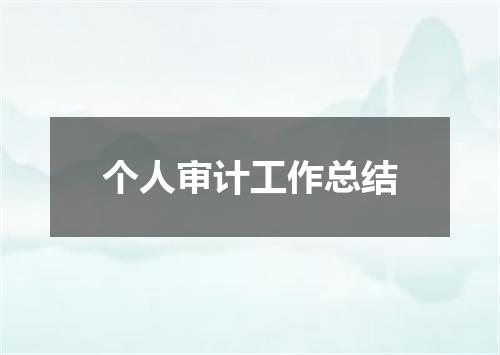个人审计工作总结