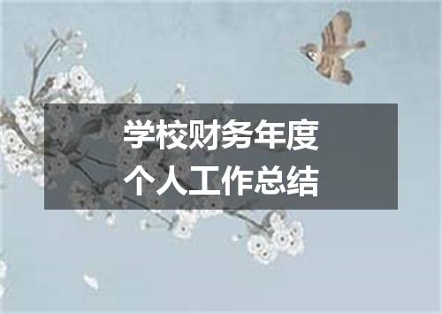 学校财务年度个人工作总结
