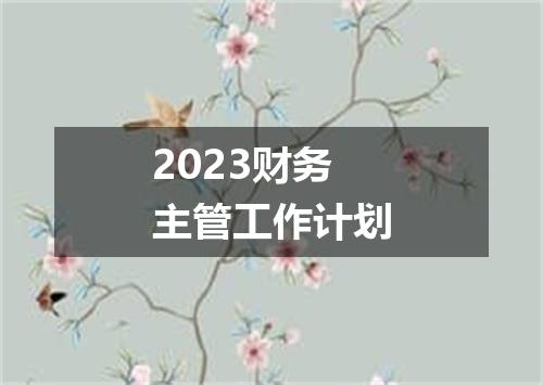 2023财务主管工作计划