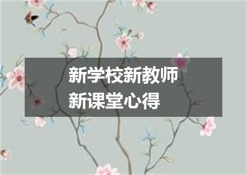 新学校新教师新课堂心得