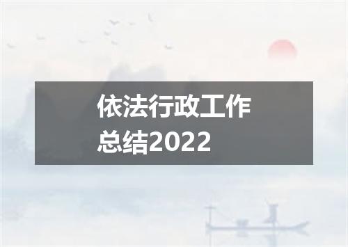 依法行政工作总结2022