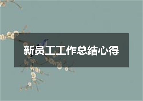 新员工工作总结心得