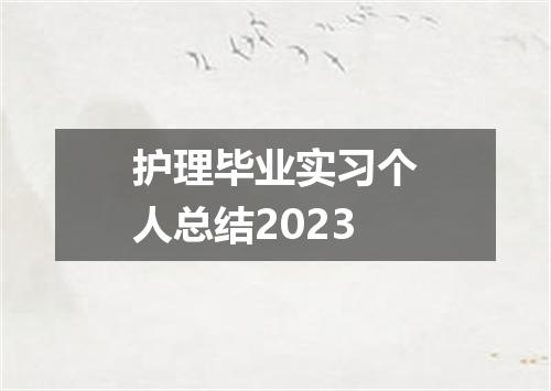 护理毕业实习个人总结2023