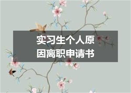 实习生个人原因离职申请书