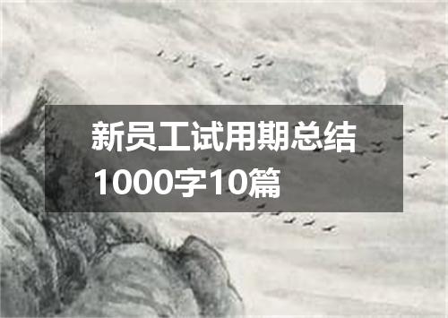 新员工试用期总结1000字10篇