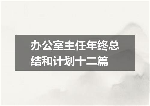 办公室主任年终总结和计划十二篇