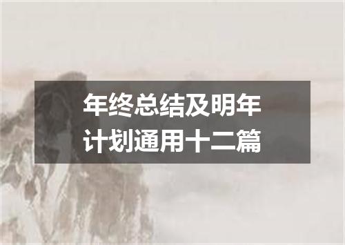 年终总结及明年计划通用十二篇