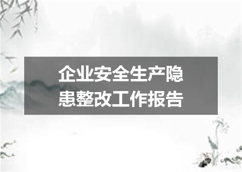 企业安全生产隐患整改工作报告