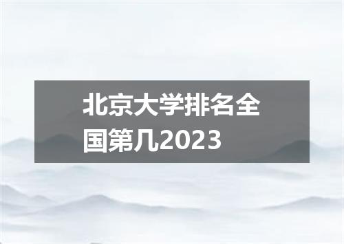 北京大学排名全国第几2023