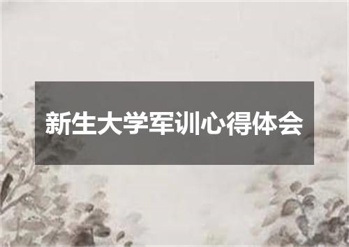 新生大学军训心得体会