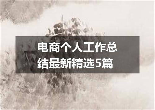 电商个人工作总结最新精选5篇