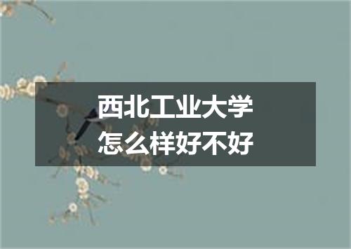 西北工业大学怎么样好不好