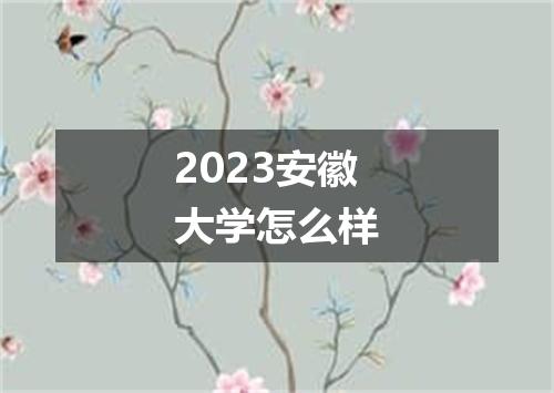 2023安徽大学怎么样