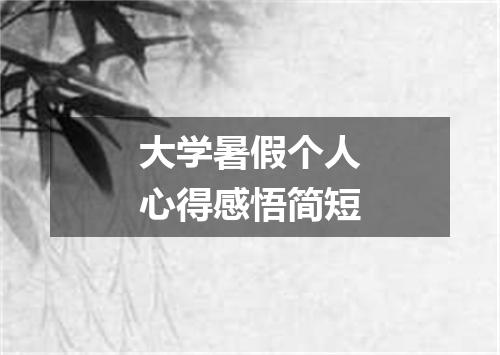 大学暑假个人心得感悟简短