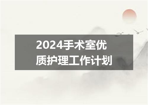 2024手术室优质护理工作计划