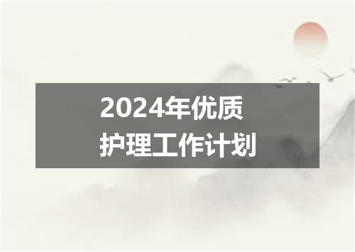 2024年优质护理工作计划