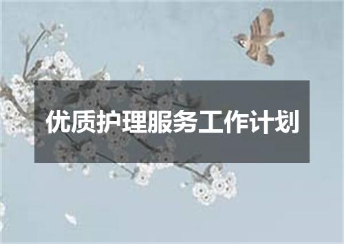 优质护理服务工作计划