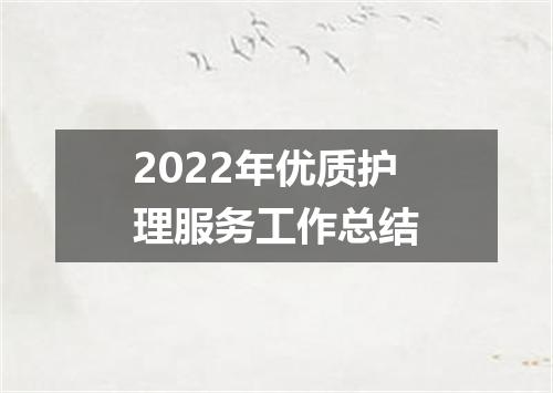 2022年优质护理服务工作总结