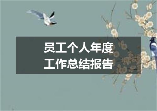 员工个人年度工作总结报告