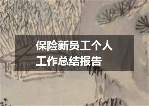 保险新员工个人工作总结报告