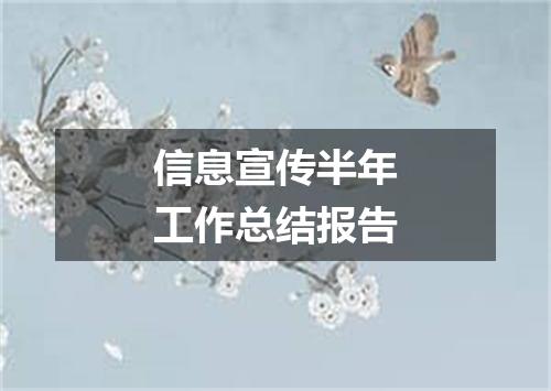信息宣传半年工作总结报告