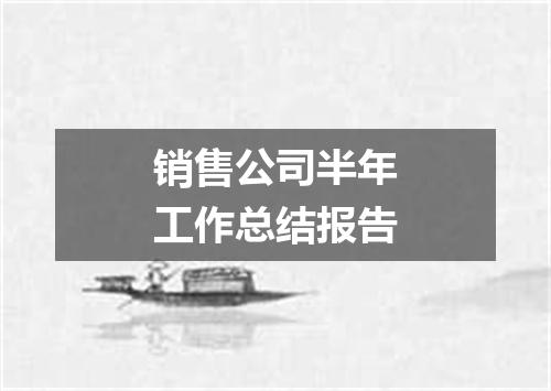 销售公司半年工作总结报告