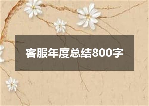 客服年度总结800字