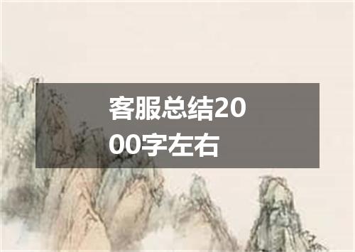 客服总结2000字左右