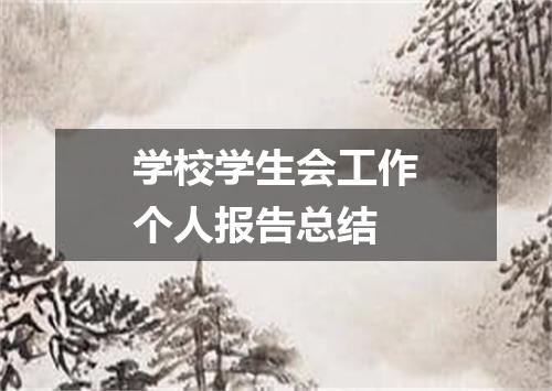 学校学生会工作个人报告总结